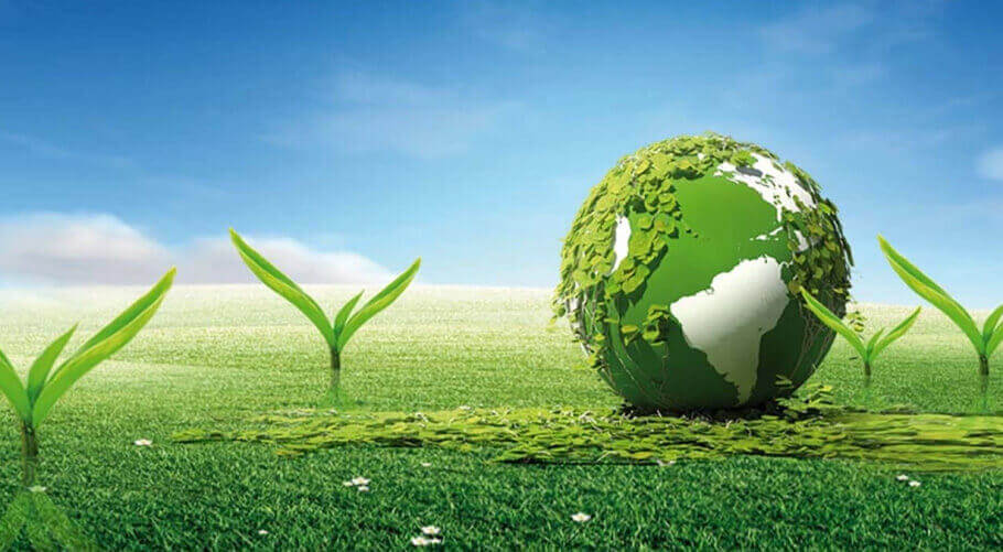 Weifang Shengtai Medicine Co.,Ltd.