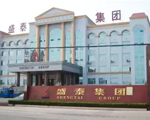 Major Subsidiaries of Shengtai Group