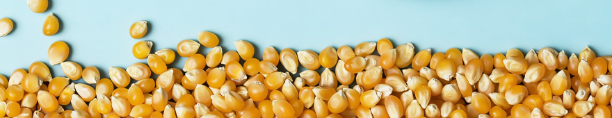 Weifang Shengtai Medicine Co.,Ltd.