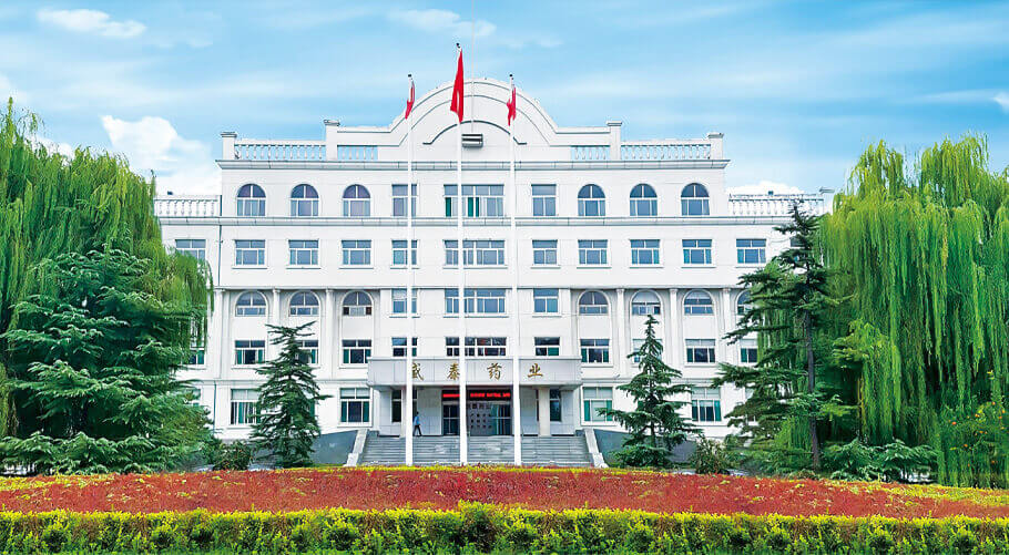 Weifang Shengtai Medicine Co.,Ltd.