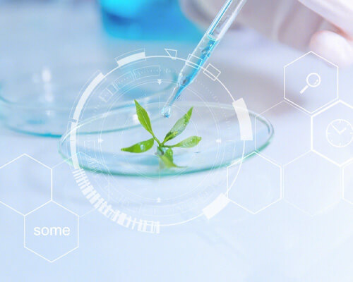 Shandong Senruite Biotechnology Co., Ltd.