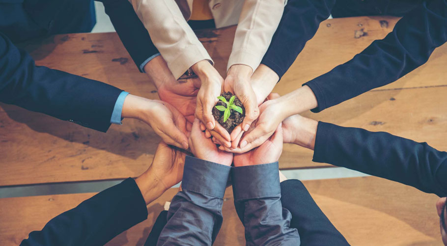 Weifang Shengtai Medicine Co.,Ltd.