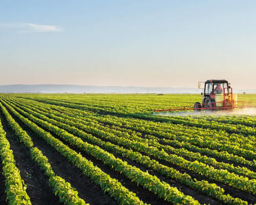 Weifang Chengli Zhonghe Co., Ltd.